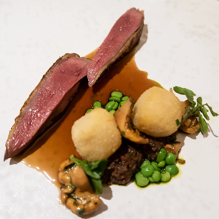 Anjou Pigeon