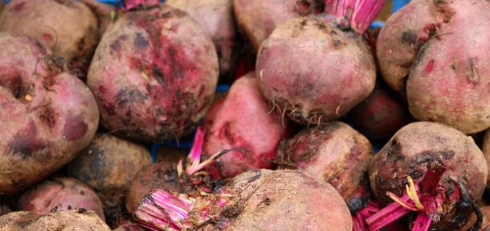 Beetroot