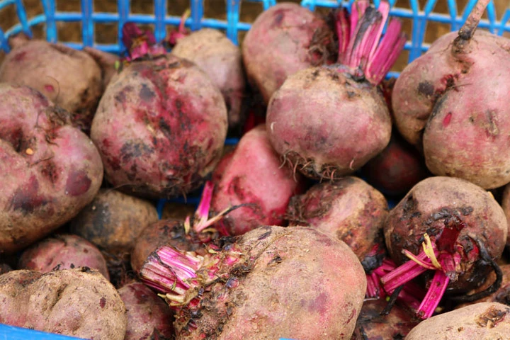 Beetroot