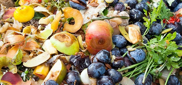 Food waste