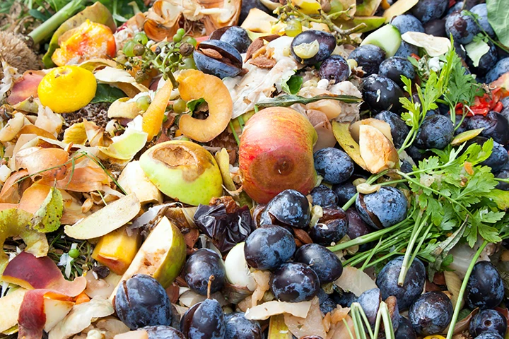 Food waste