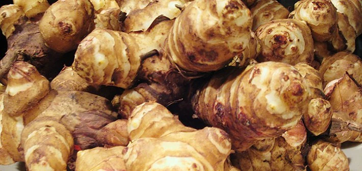Jerusalem Artichokes