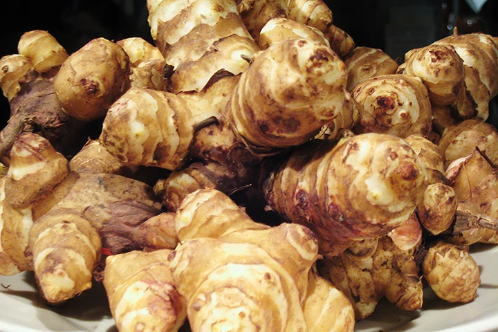 Jerusalem Artichokes