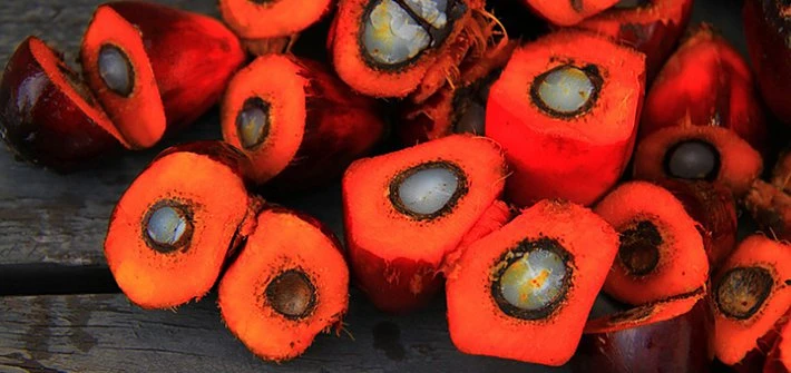 Palm oil