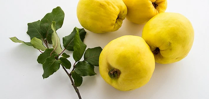 Quinces
