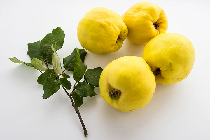 Quinces