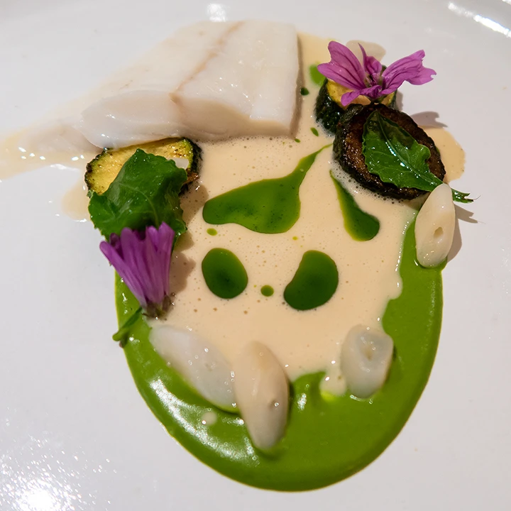 Turbot
